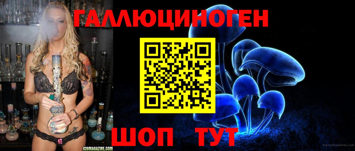 где продают   Вход с VPN  Карачаевск  Псилоцибиновые грибы Psilocybine cubensis  Псилоцибиновые грибы MAGIC MUSHROOMS 